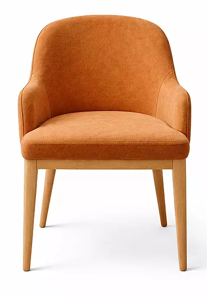 Lavaasa Arm Dining Chair