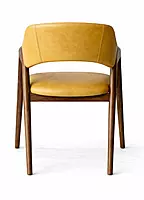 Tashi Upholstered Back Dining Chair